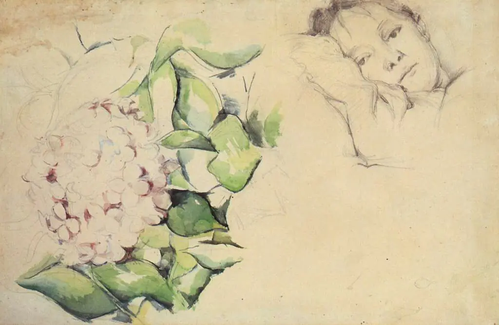 Cezanne: Hydrangea Blossom With Picture Of Hortense Cezanne