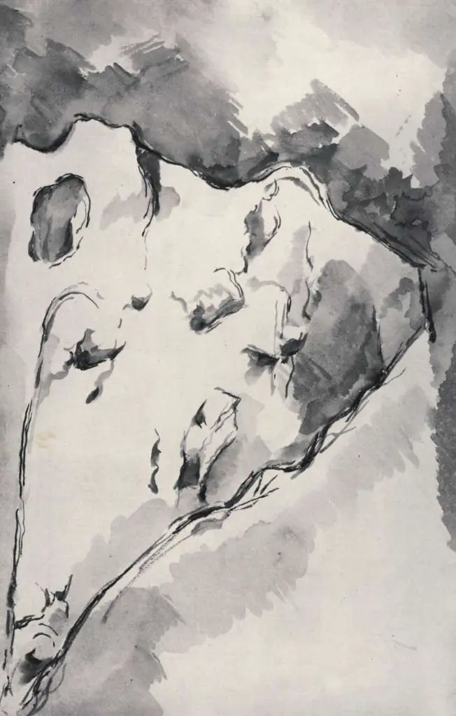 Cezanne: Rocks
