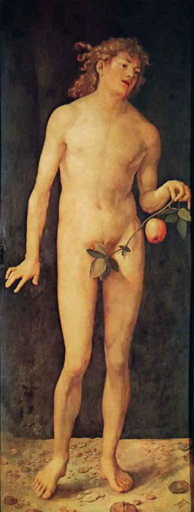 Dürer - Paintings & Drawings: Adam