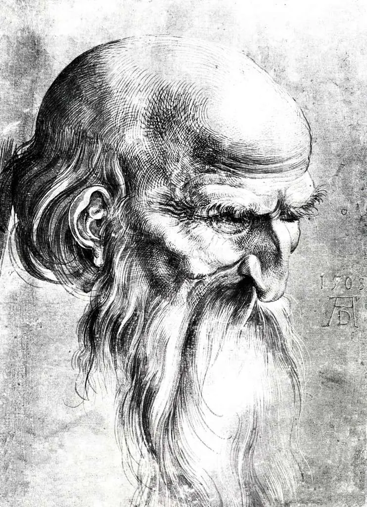Dürer - Paintings & Drawings: Apostols Head1