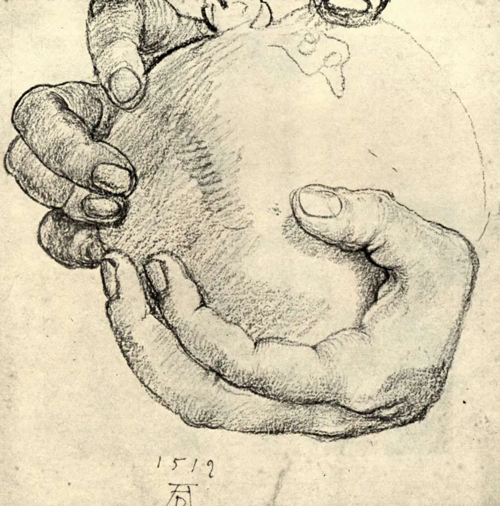 Dürer - Paintings & Drawings: Hand Holding A Grenade Apple
