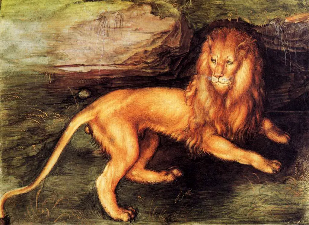 Dürer - Paintings & Drawings: Lion