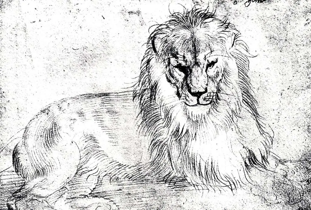 Dürer - Paintings & Drawings: Lion1
