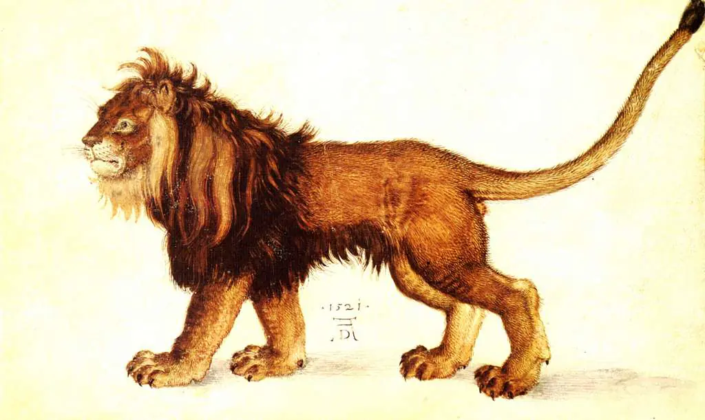 Dürer - Paintings & Drawings: Lion2