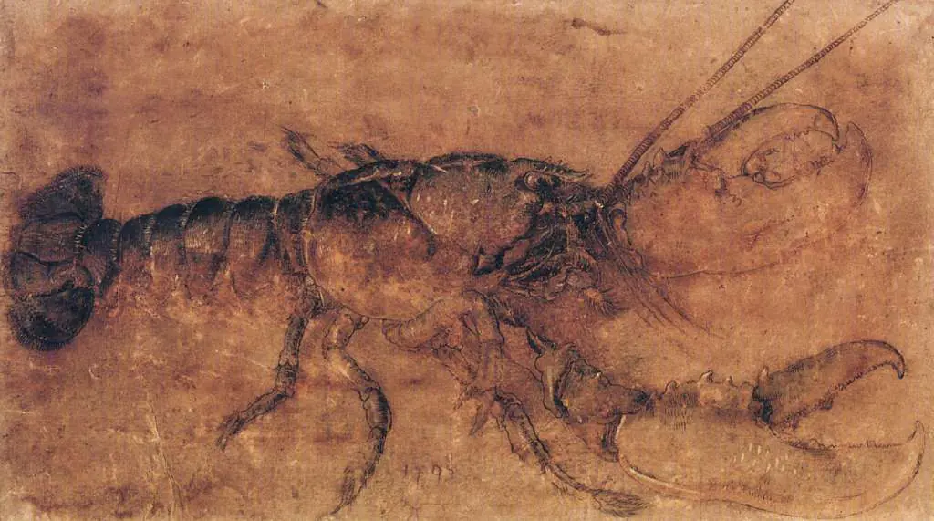 Dürer - Paintings & Drawings: Lobster