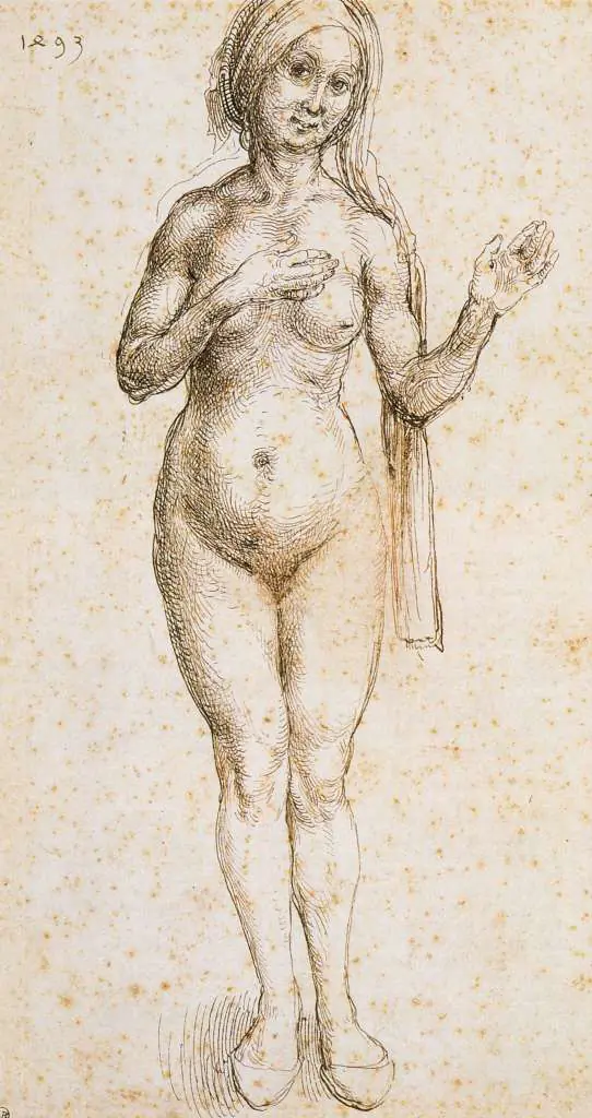 Dürer - Paintings & Drawings: Nude Of A Standing Woman
