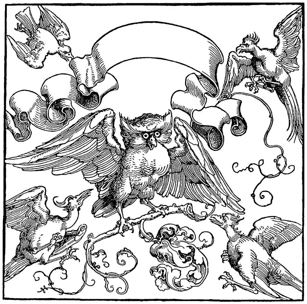 Dürer - Woodblocks &  Etchings: An Owl Fights With Other Birds