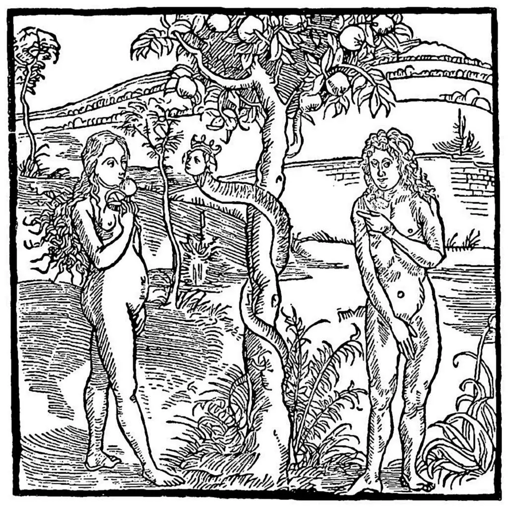 Dürer - Woodblocks &  Etchings: The Fall1