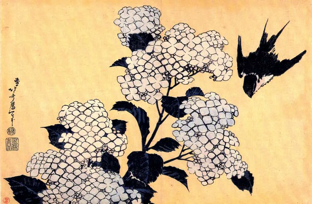 Japan Art: Hydrangea And Swallow 2