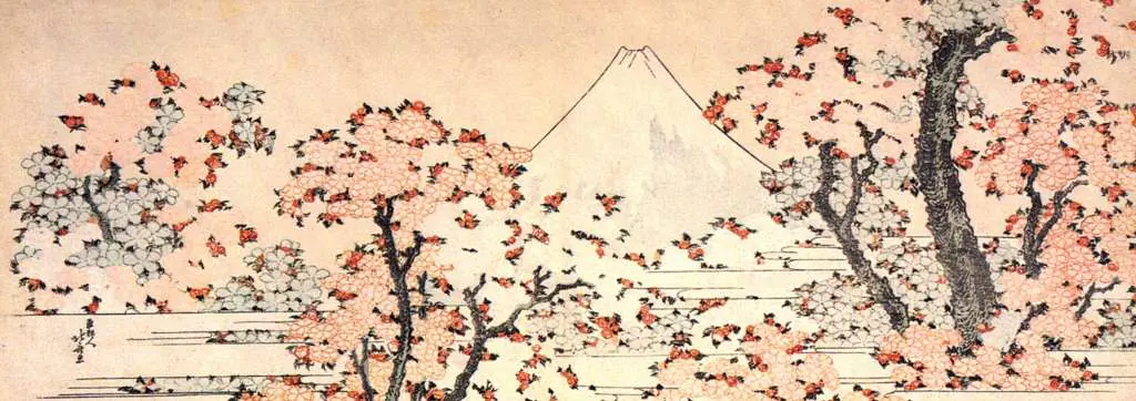 Japan Art: Mount Fuji Seen Throught Cherry Blossom