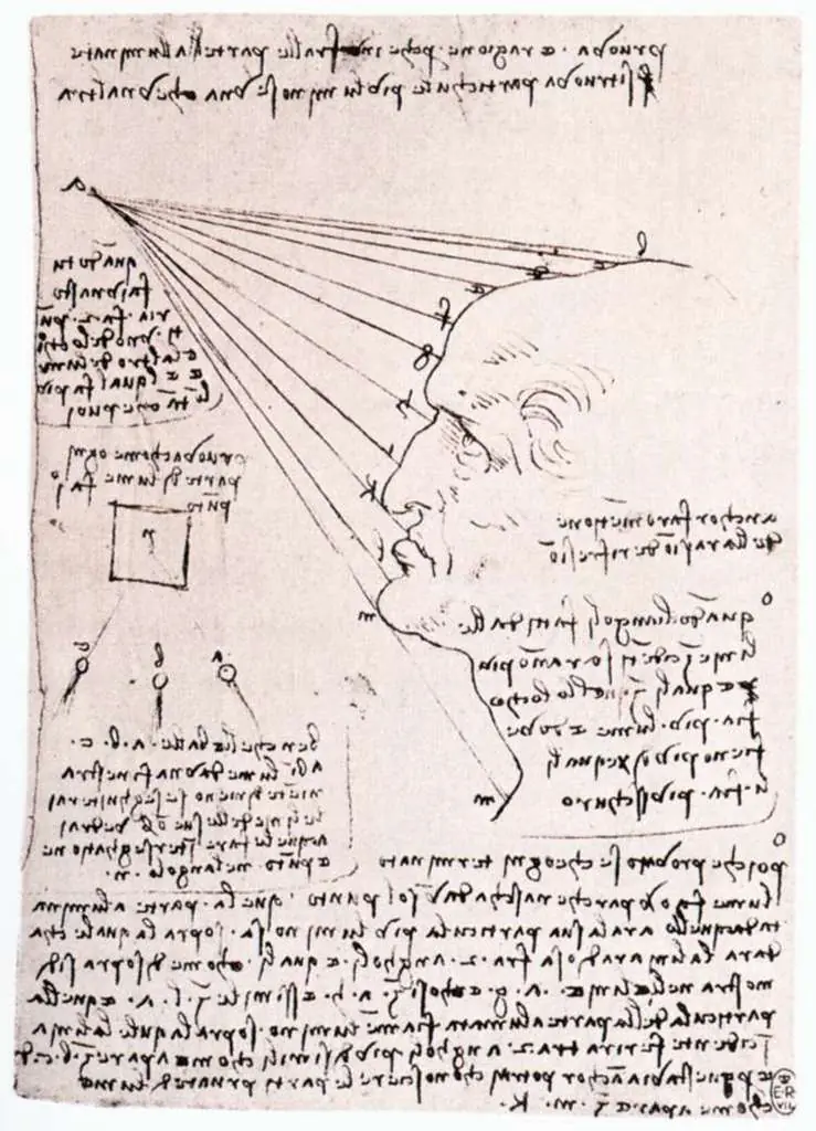 Leonardo Drawings & Studies: 02profil
