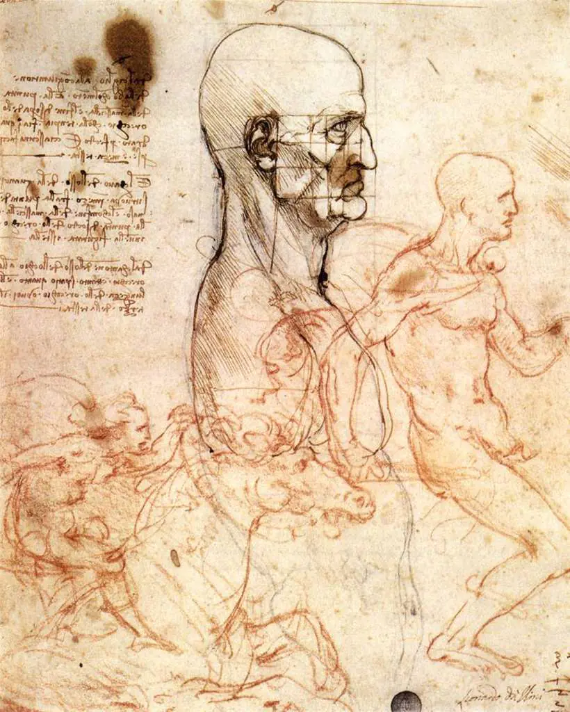 Leonardo Drawings & Studies: 06head1