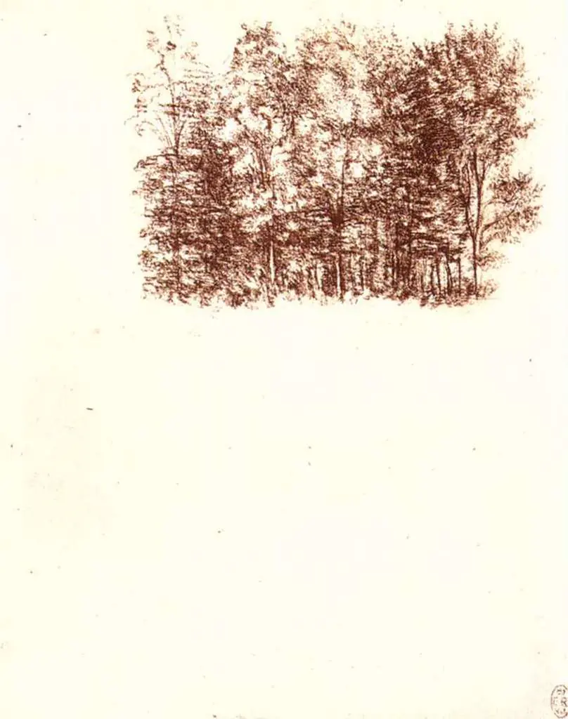 Leonardo Drawings & Studies: 10birch