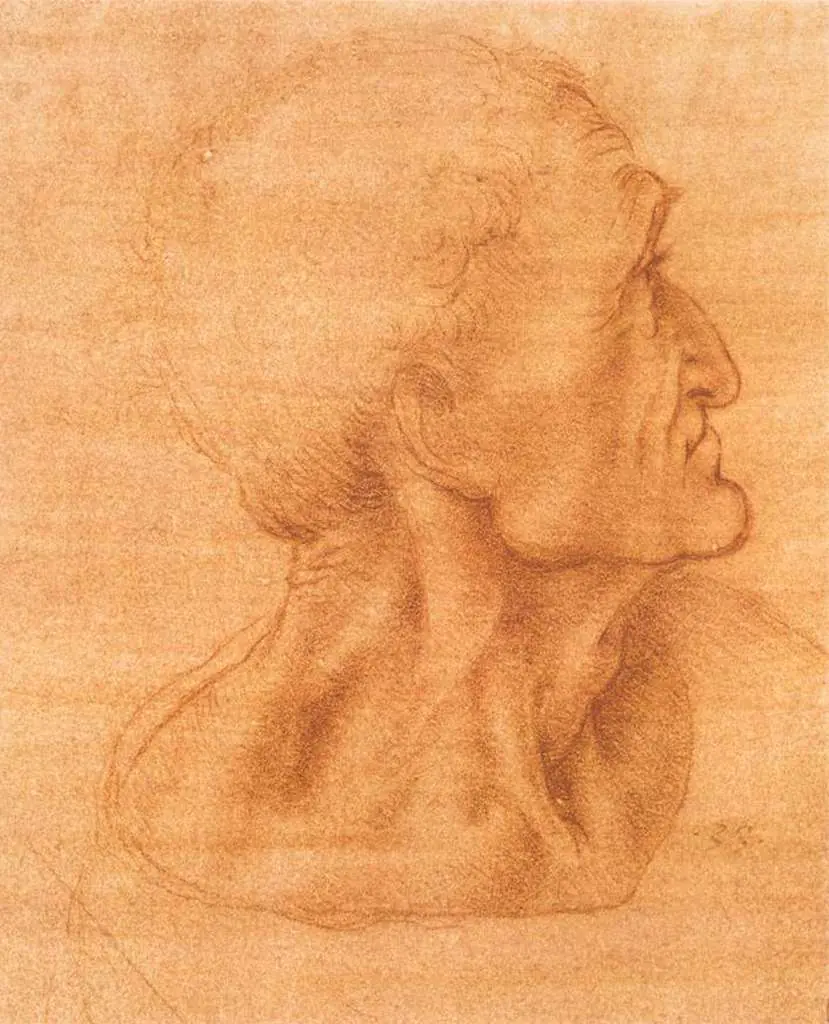 Leonardo Drawings & Studies: 1lasts4