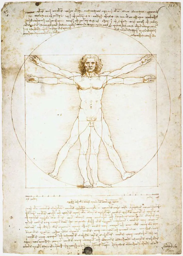 Leonardo Drawings & Studies: 1vitruviu