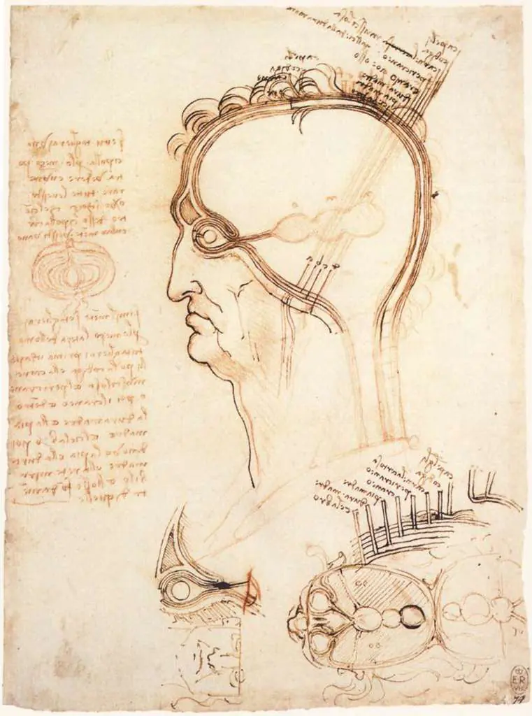 Leonardo Drawings & Studies: 2head2