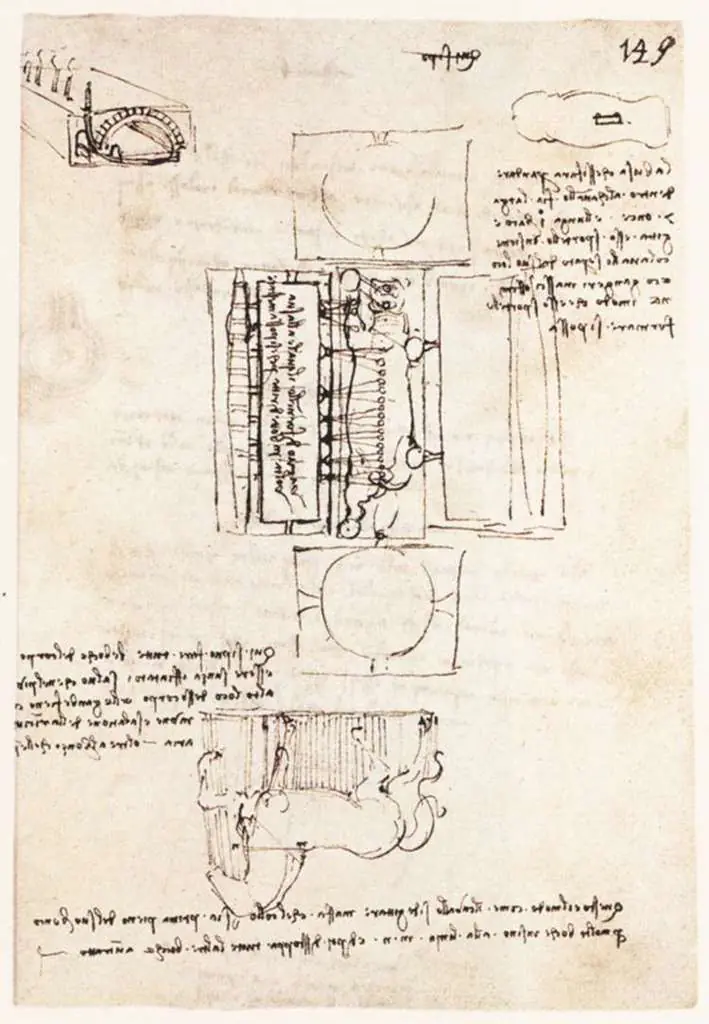 Leonardo Drawings & Studies: 2sforza1