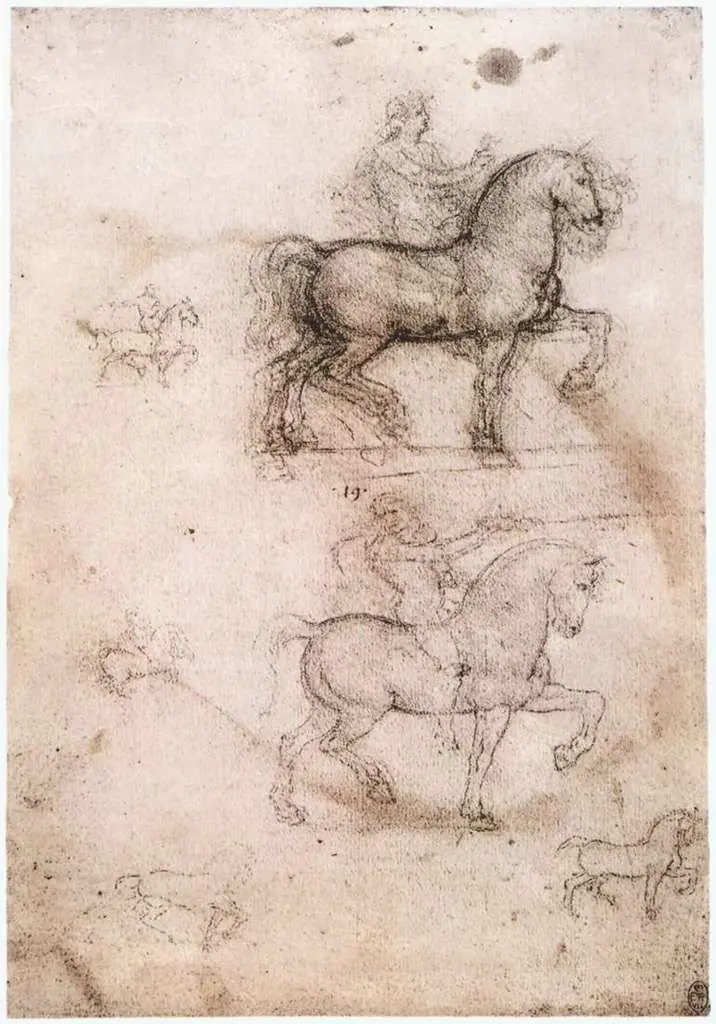 Leonardo Drawings & Studies: 4francis