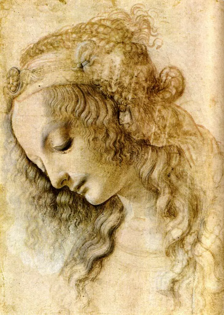 Leonardo Drawings & Studies: Female Head