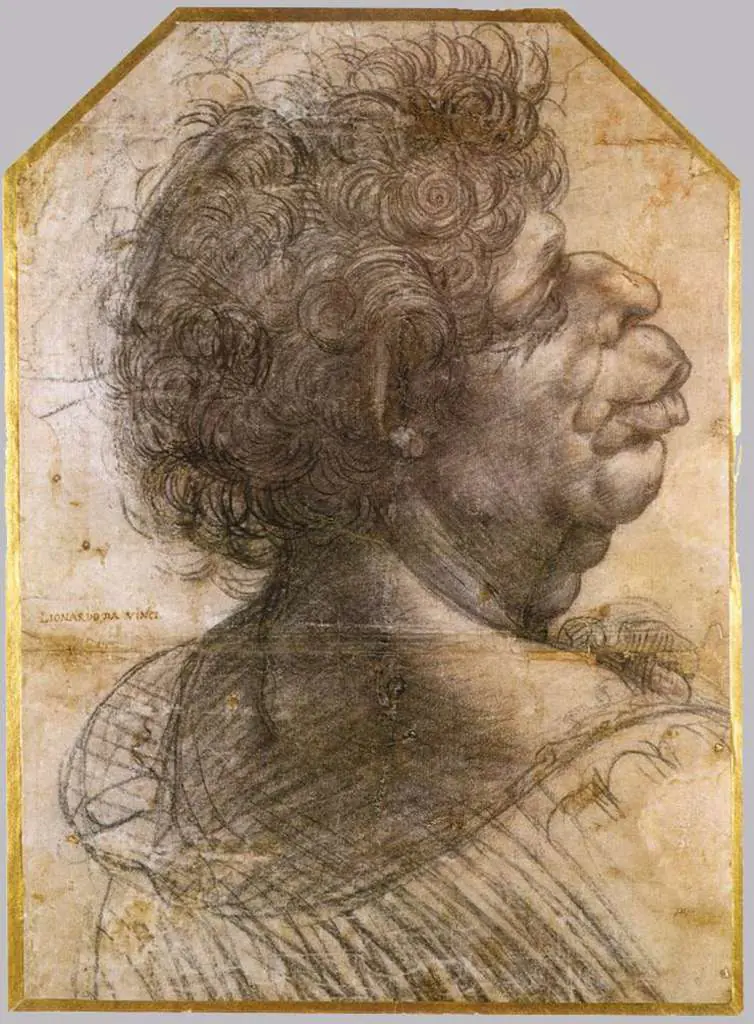 Leonardo Drawings & Studies: Grotesque Head