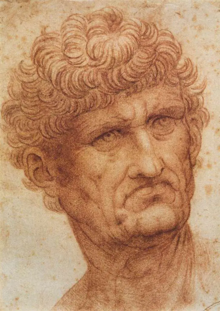 Leonardo Drawings & Studies: Head Of A Man