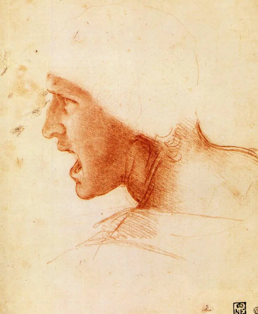 Leonardo Drawings & Studies: Head Study