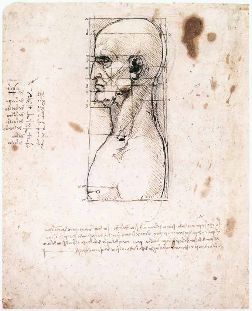 Leonardo Drawings & Studies: Male Head In Profile With Proportions