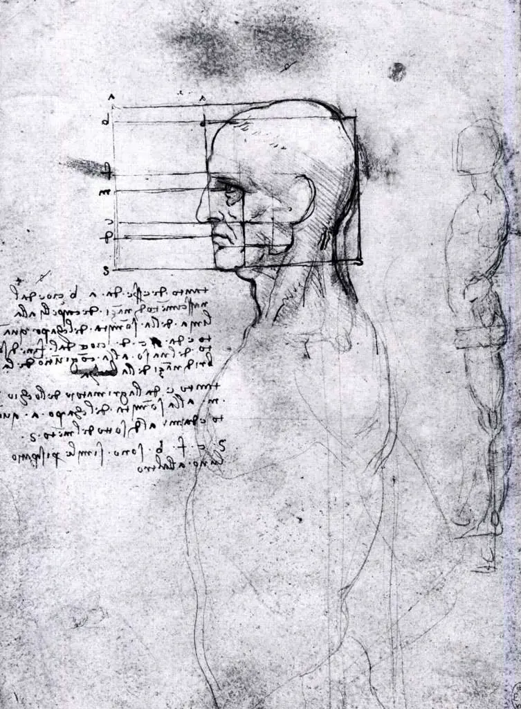 Leonardo Drawings & Studies: Mens Body Proportions