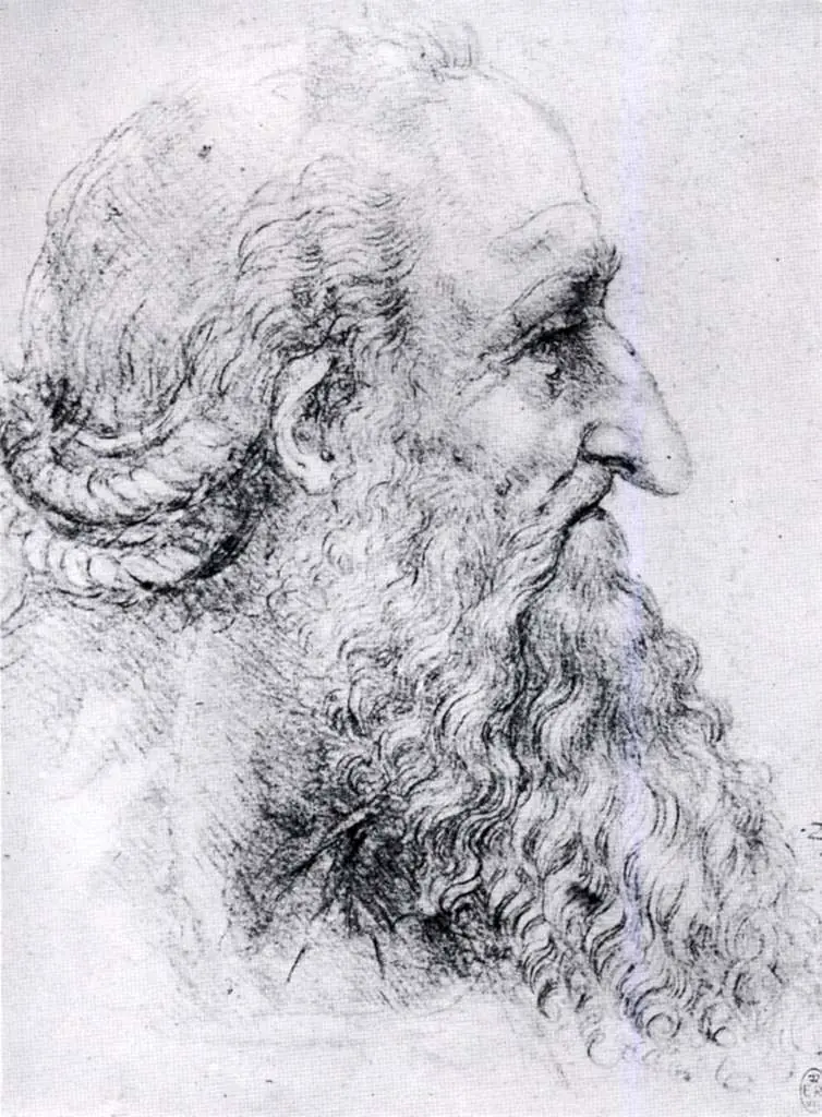 Leonardo Drawings & Studies: Old Mans Head