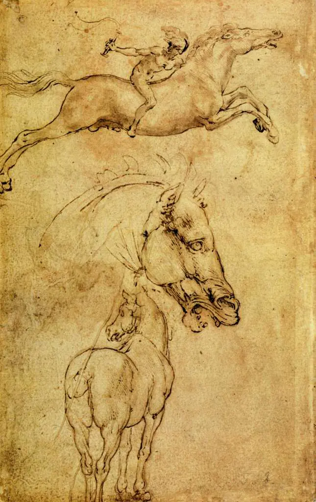 Leonardo Drawings & Studies: Studies3