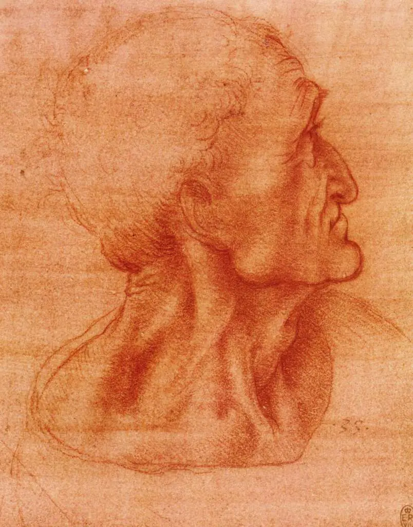 Leonardo Drawings & Studies: Study For The Head Of Judas