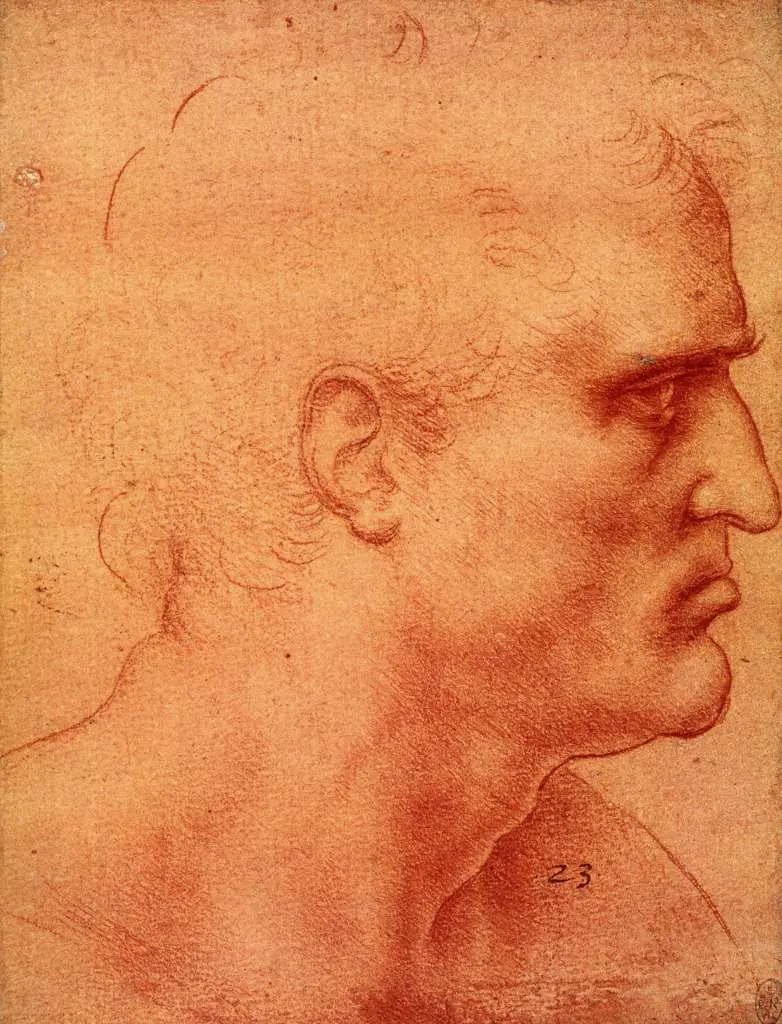 Leonardo Drawings & Studies: Study For The Head Of An Apostle