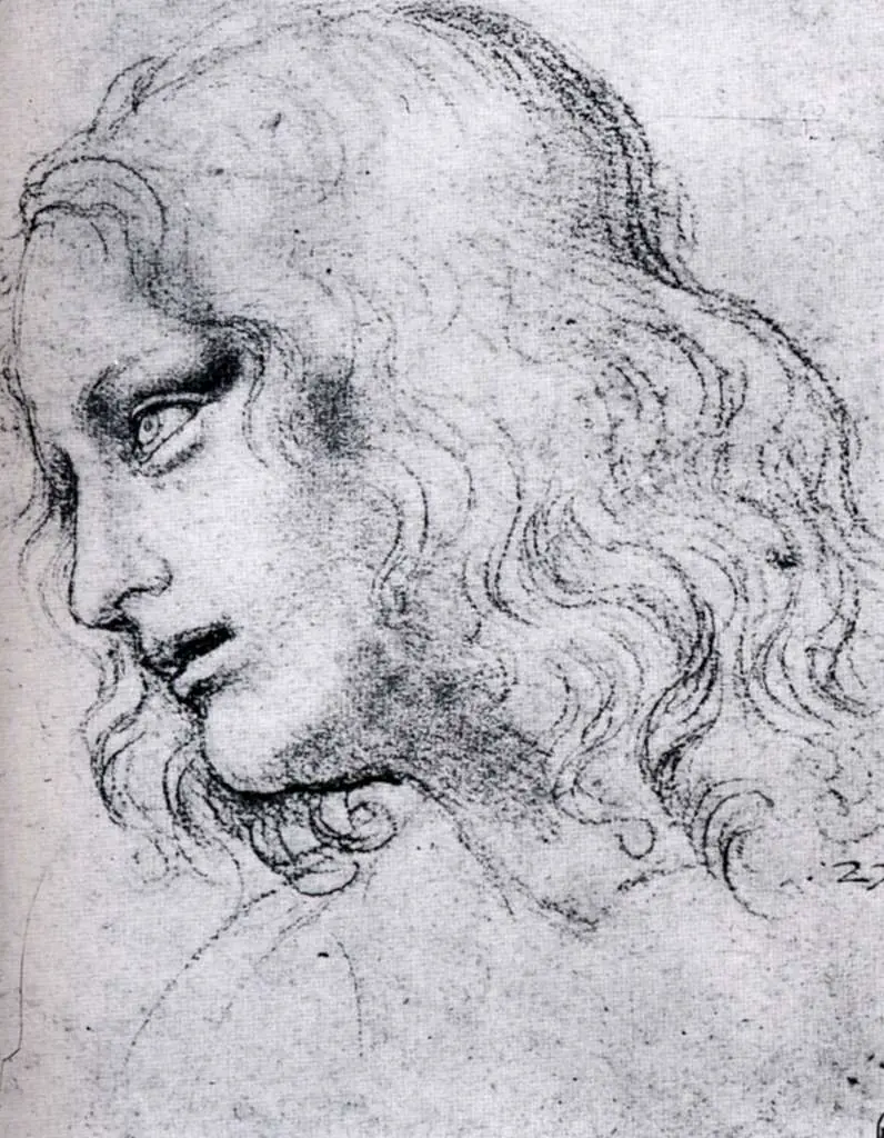 Leonardo Drawings & Studies: Study Of St Phillipp