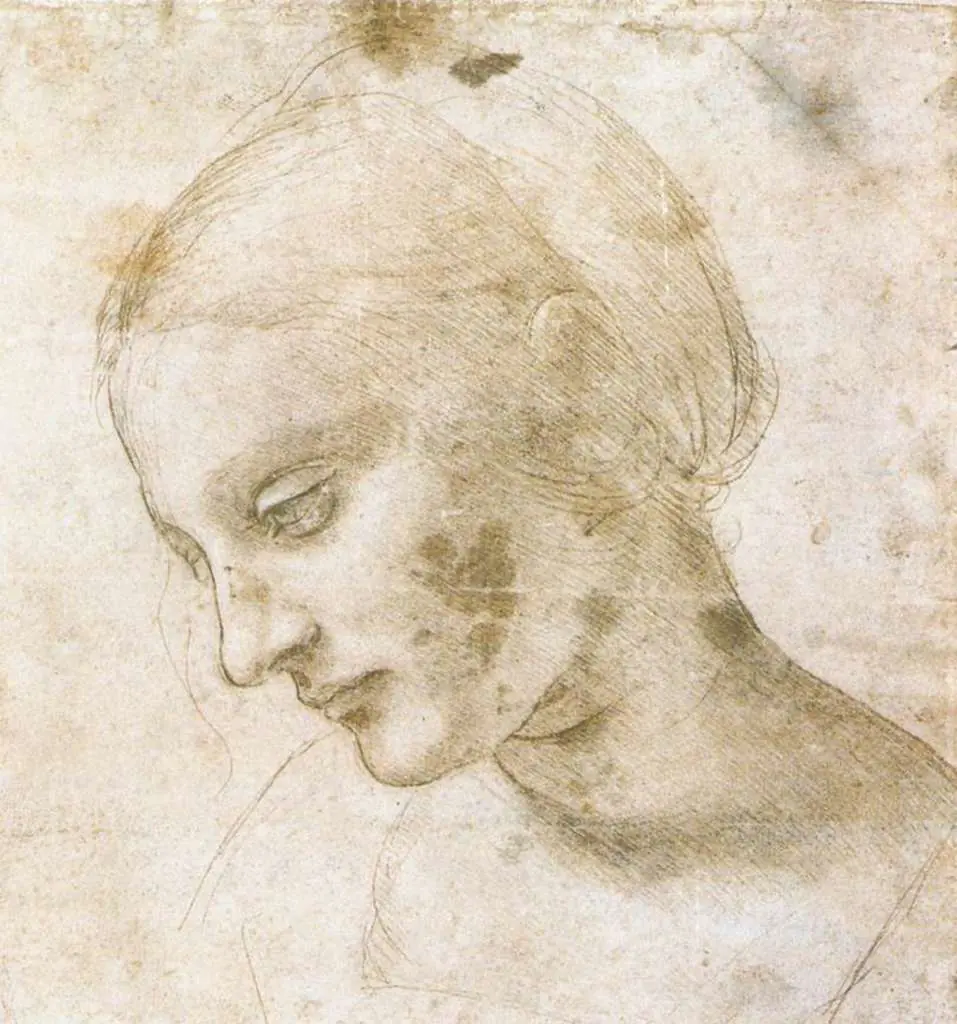Leonardo Drawings & Studies: Study Of A Woman-s Head