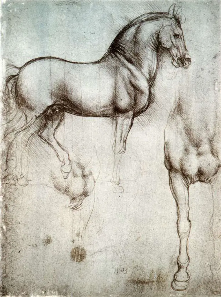 Leonardo Drawings & Studies: Study Of Horses