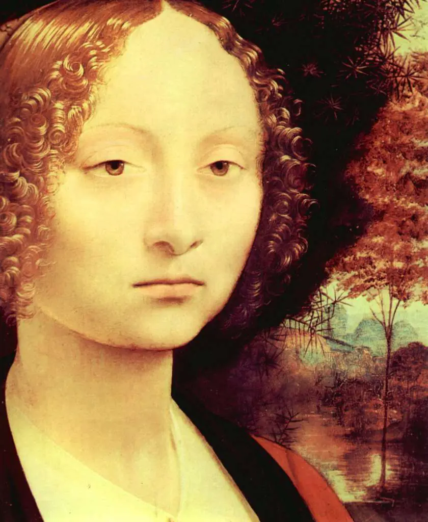 Leonardo Paintings: Portrait Of A Noble Lady Detail