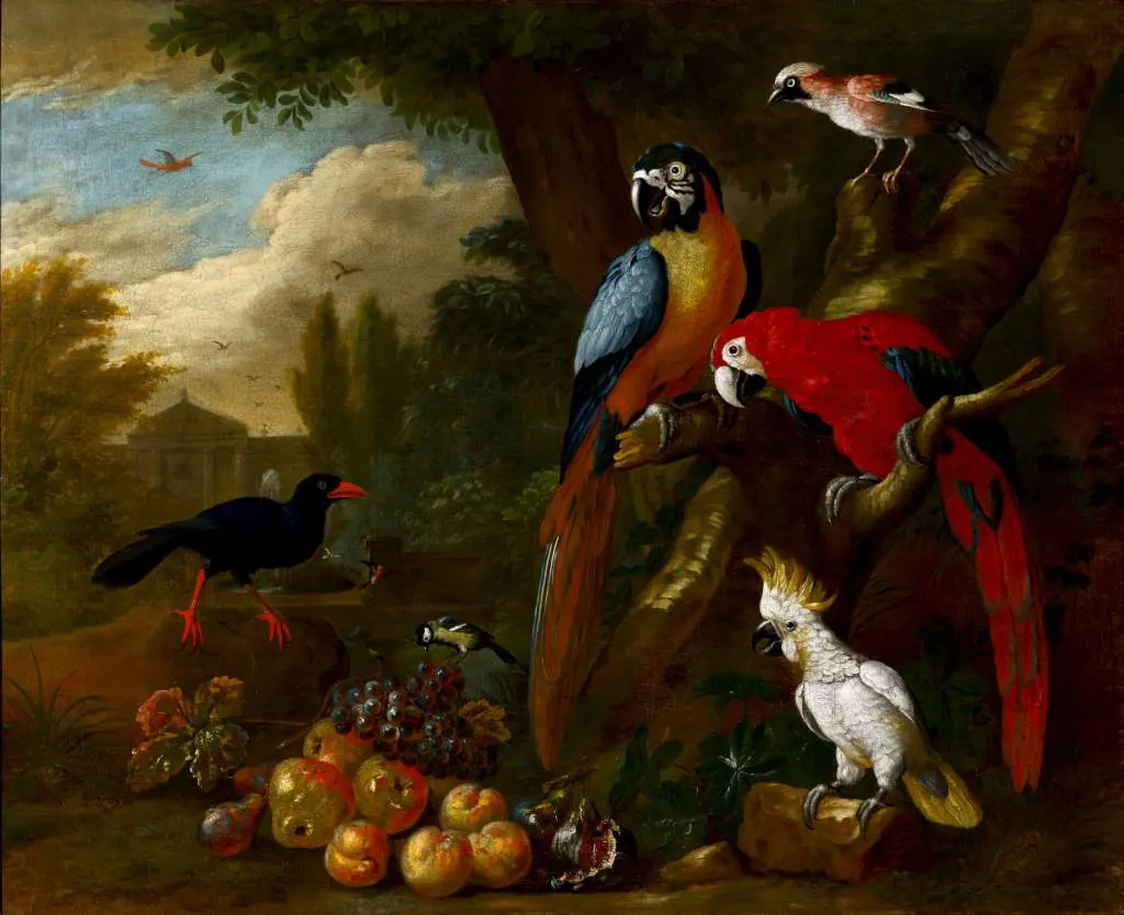 Magyar festők: Bogdany - Two Macaws A Cockatoo And A Jay With Fruit
