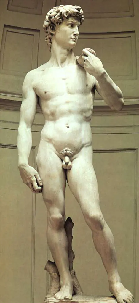 Michelangelo: David