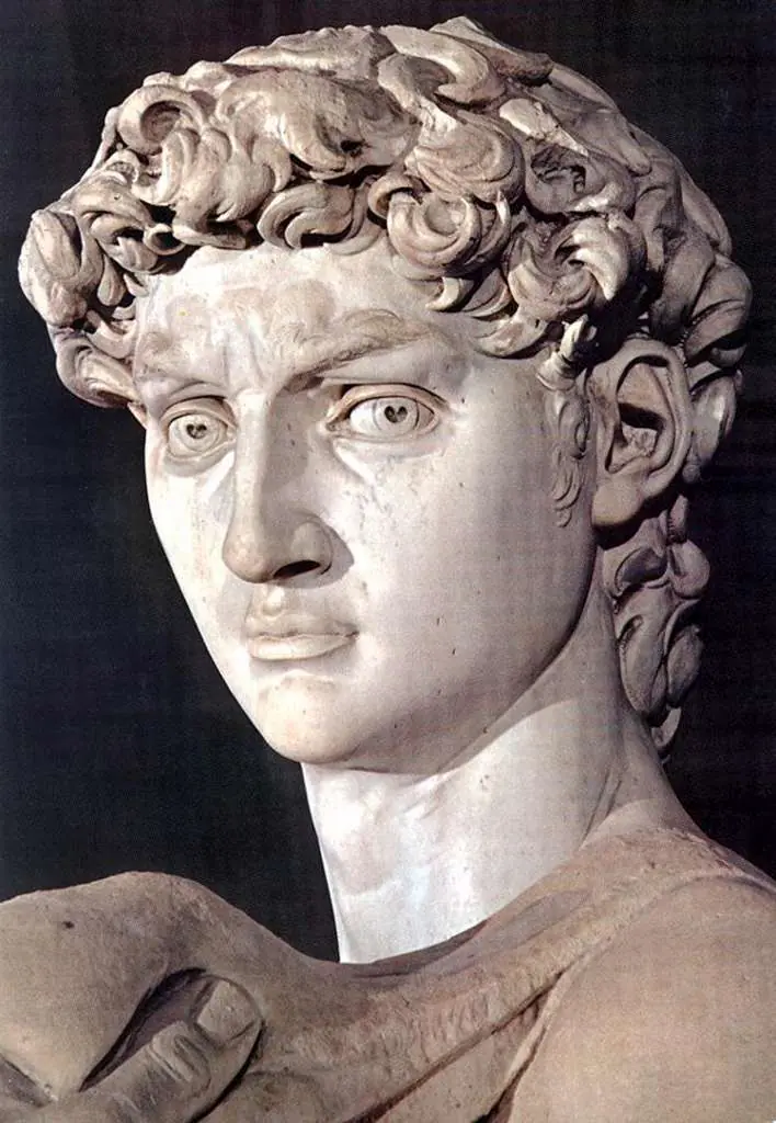 Michelangelo: David Head Detail