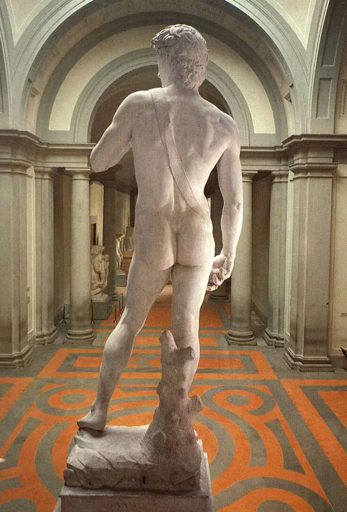 Michelangelo: David Rear View