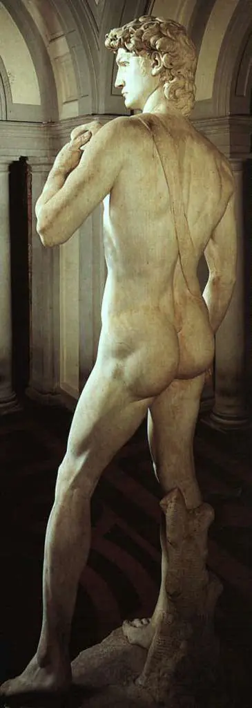 Michelangelo: David Rear View Detail