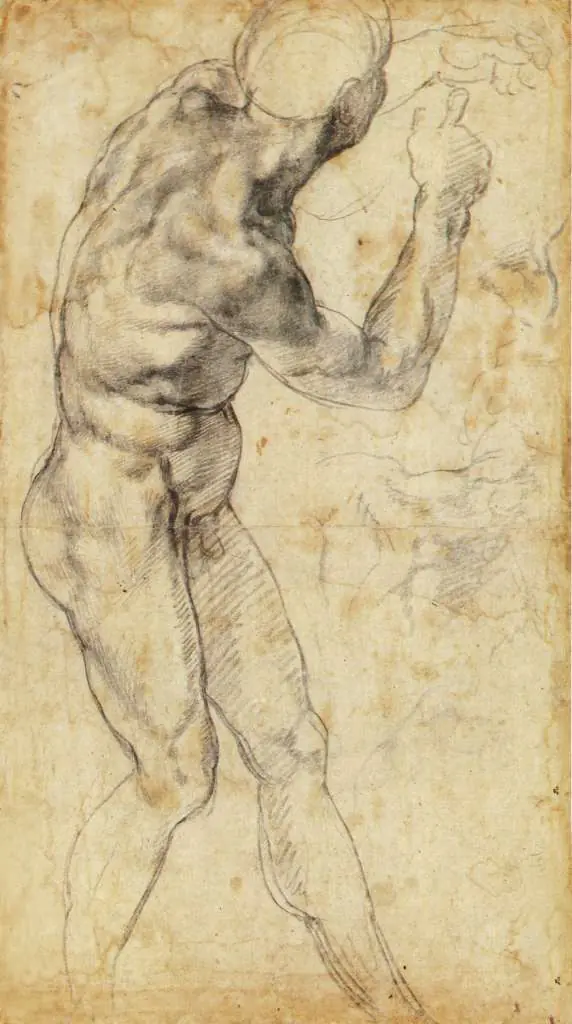 Michelangelo: Male Nude And Two Detail Studys