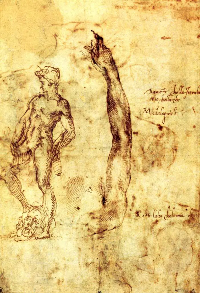 Michelangelo: Study For David