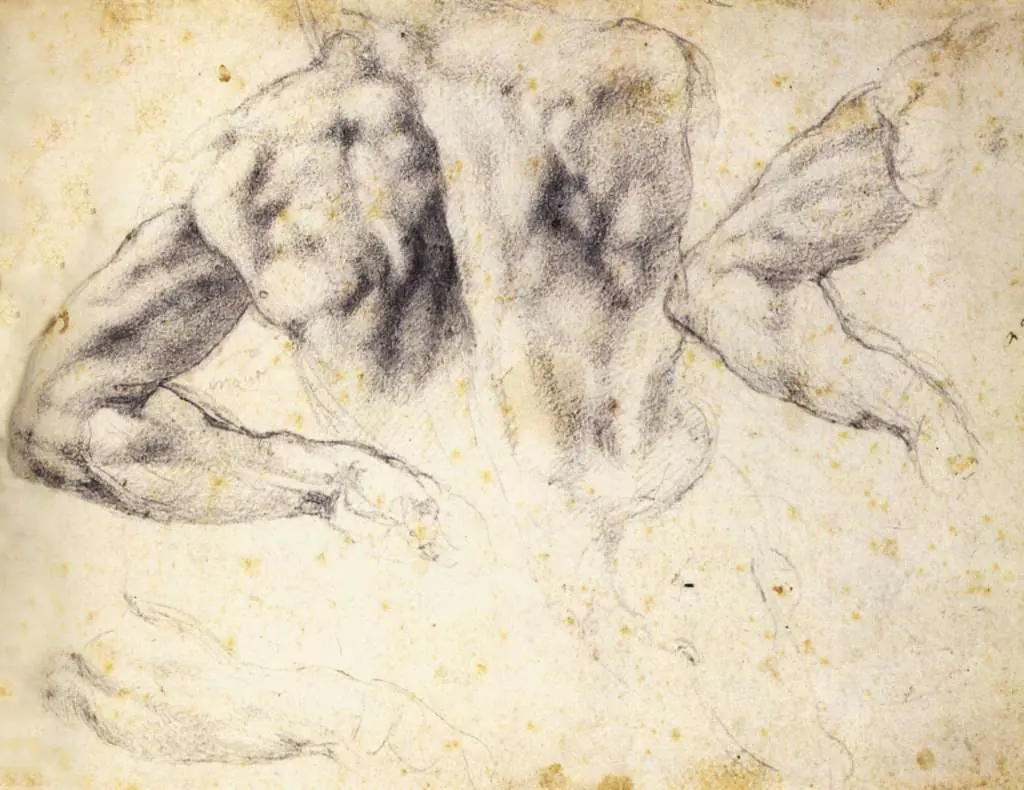Michelangelo: Study Of The Back And The Left Arm