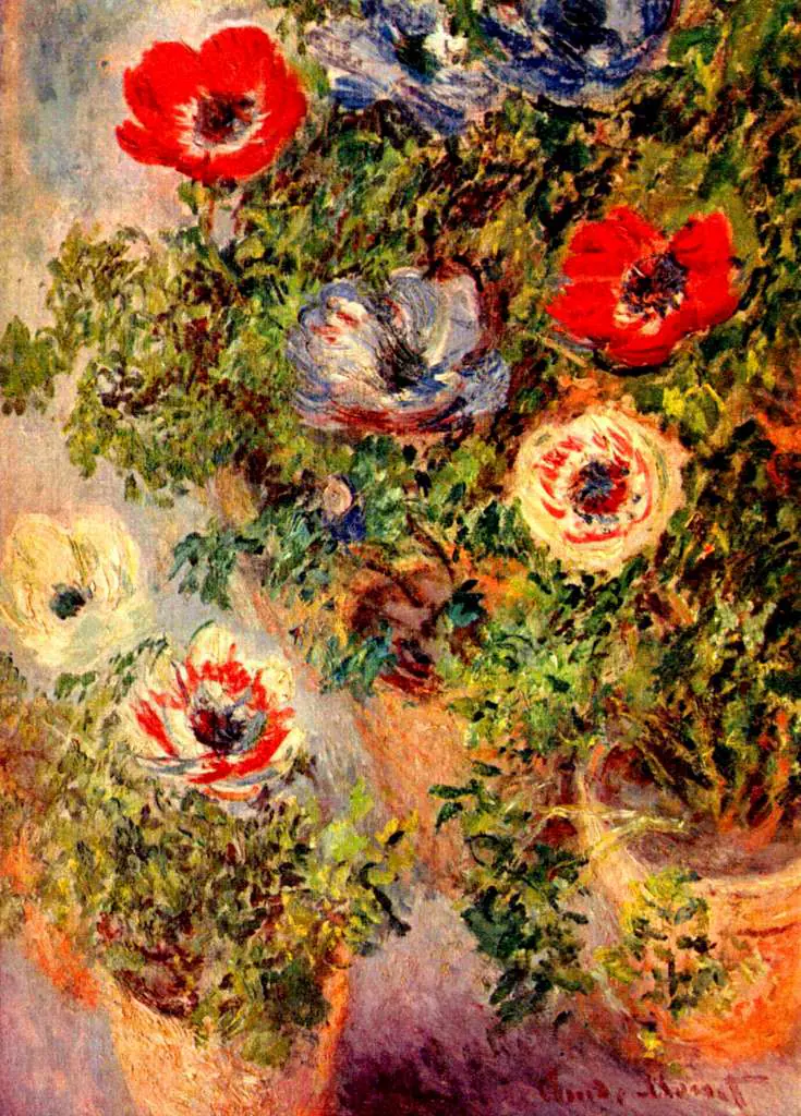 Monet: Still Life Anemonen