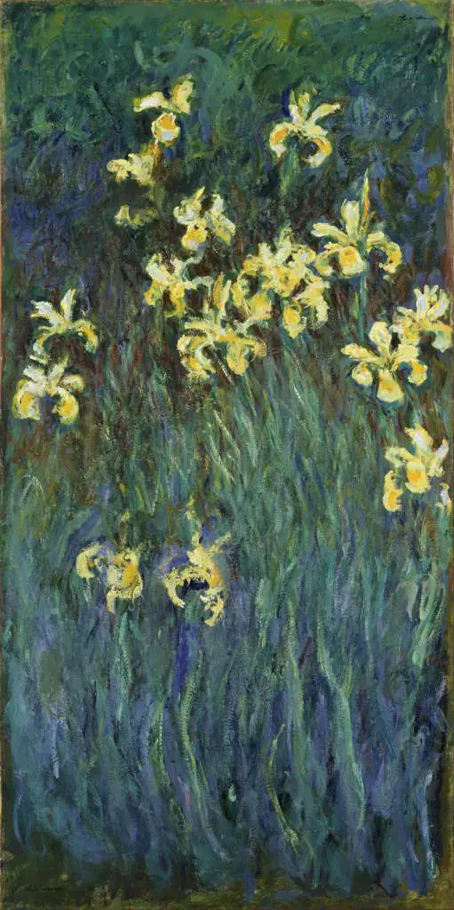 Monet: Yellow Irises