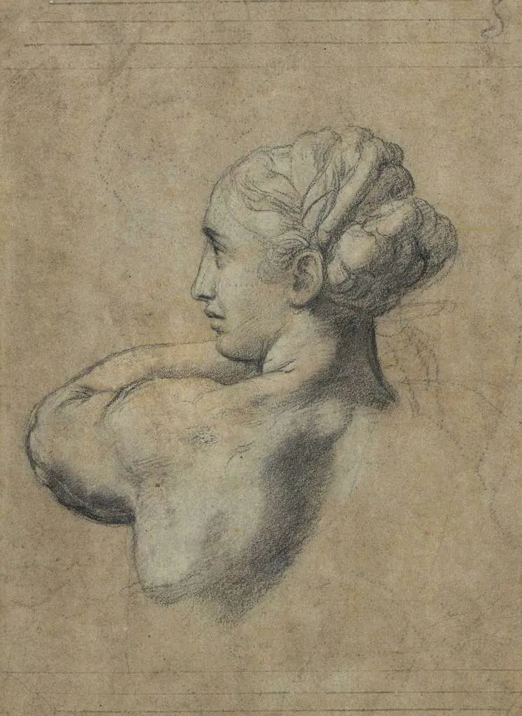 Raphael: A Study Of A Woman S Head Seen From Behind