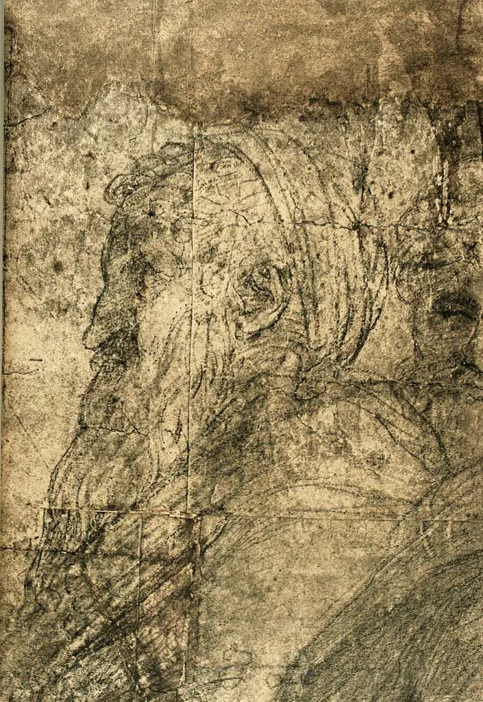 Raphael: Head Of A Bearded Man