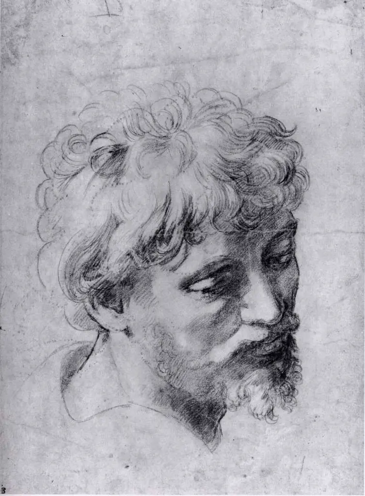 Raphael: Head Of An Apostle3