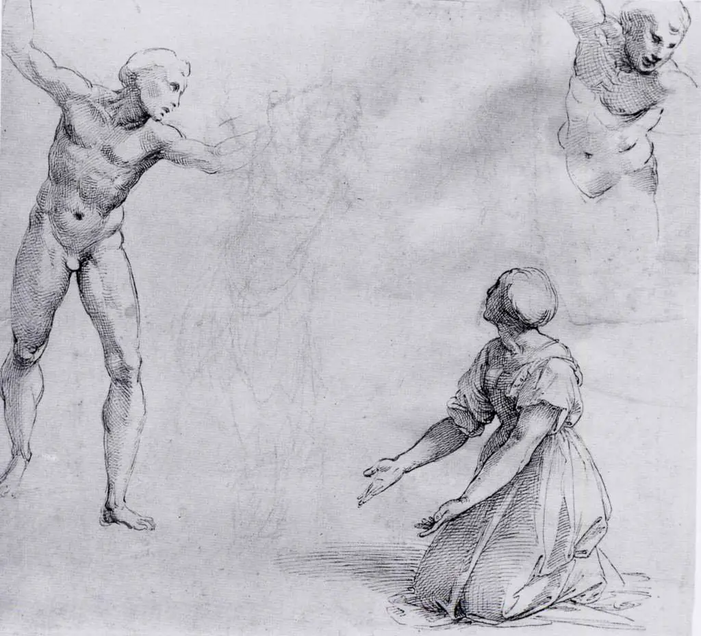 Raphael: Study